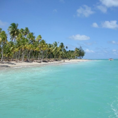 Transfer-porto-de-galinhas