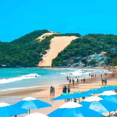 Transfer-tamandaré
